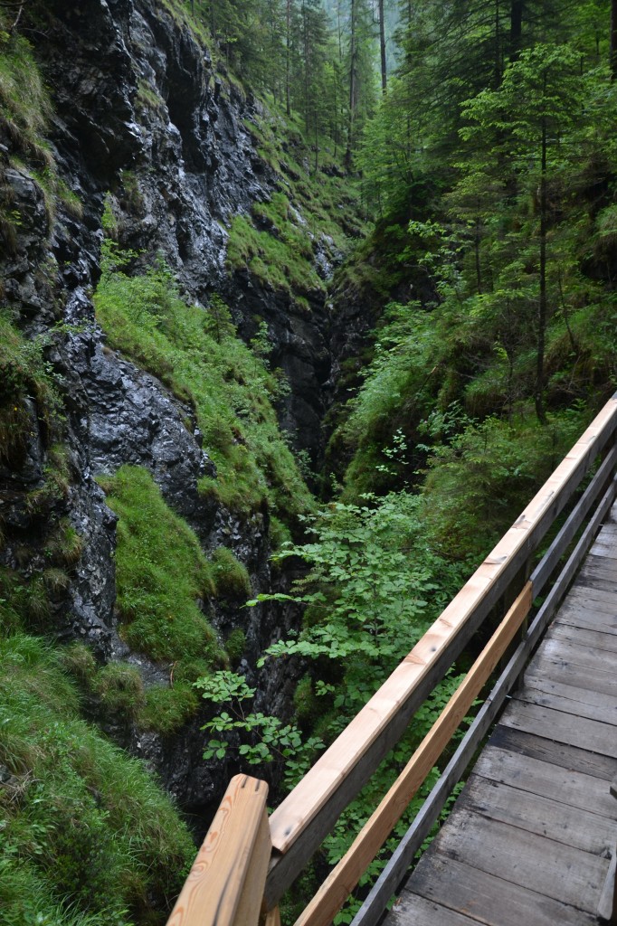 Saalachtaler Naturgewalten