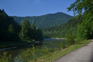 dunajec50