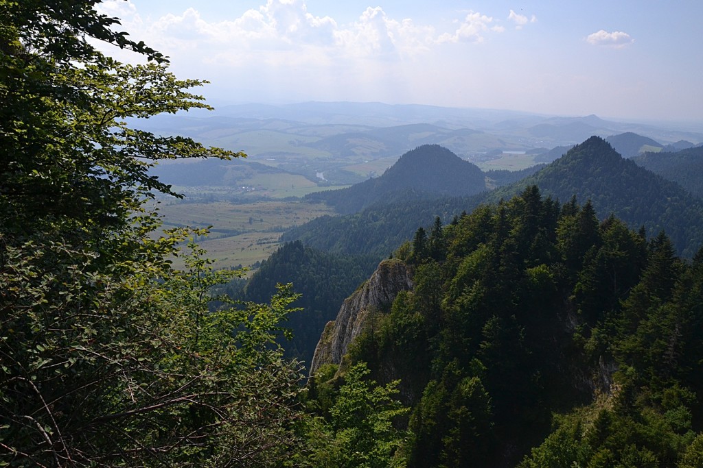 trzykorony21