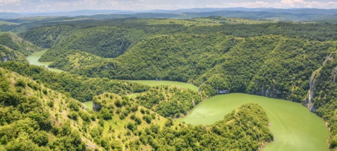 Kanion Uvac i kraina sępa płowego Kanion Uvac i kraina sępa płowego