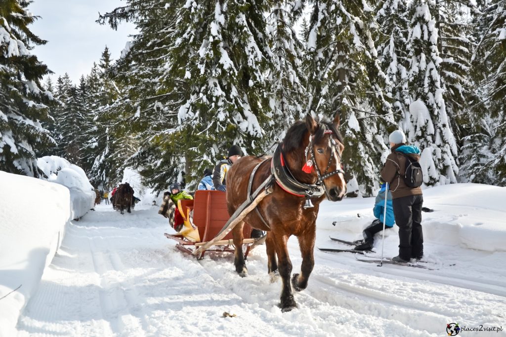 Kulig w Obidowej