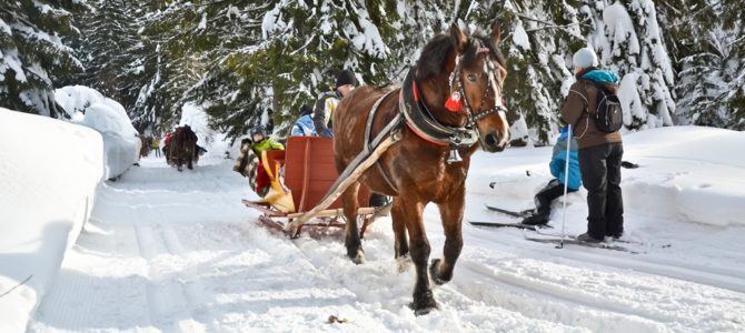 Kulig w Gorcach – Obidowa Kulig w Gorcach – Obidowa
