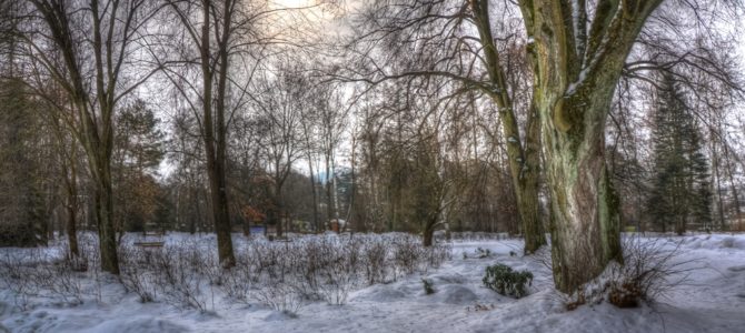 Rabka Zdrój z dzieckiem – pomysły na zimową porę Rabka Zdrój z dzieckiem – pomysły na zimową porę