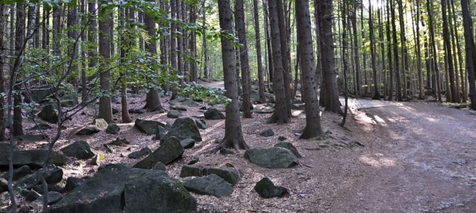 Ślęża – święta góra Ślązaków Ślęża – święta góra Ślązaków