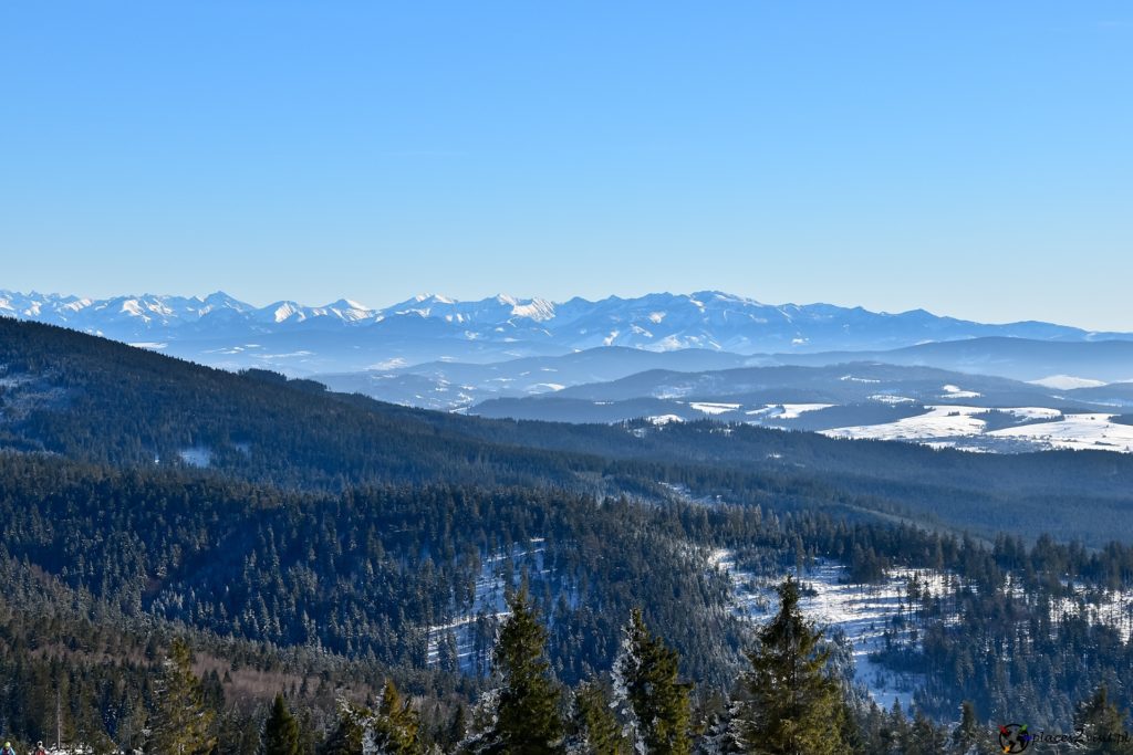 Rysianka - widok na Tatry