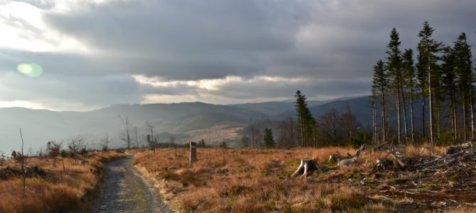Biskupia Kopa – Góry Opawskie – KGP Biskupia Kopa – Góry Opawskie – KGP