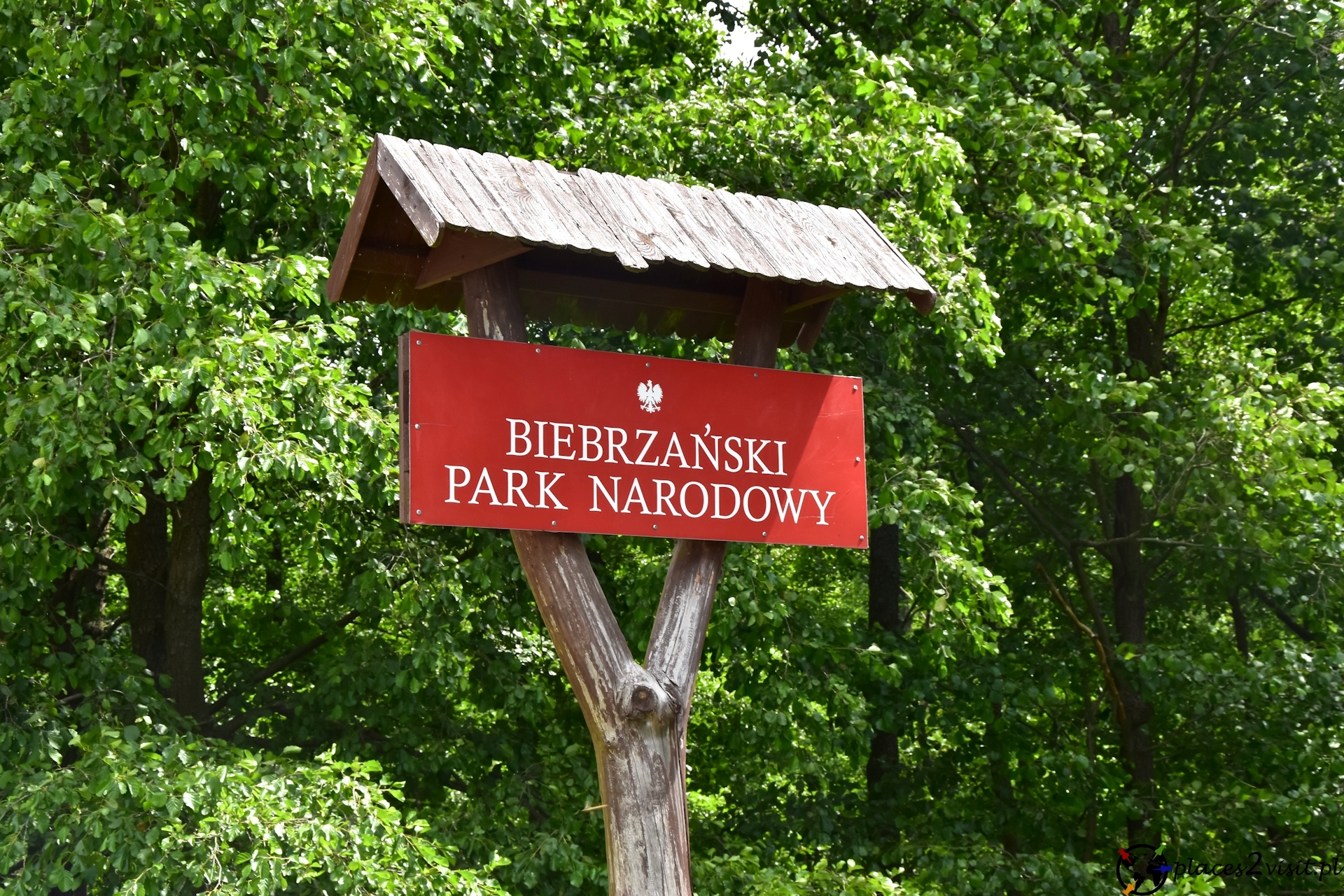 Niedawno Byłeś Z Rodzicami W Parku Narodowym Biebrzański Park Narodowy i jego atrakcje - places2visit.pl