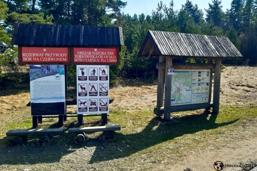 Bór na Czerwonem
