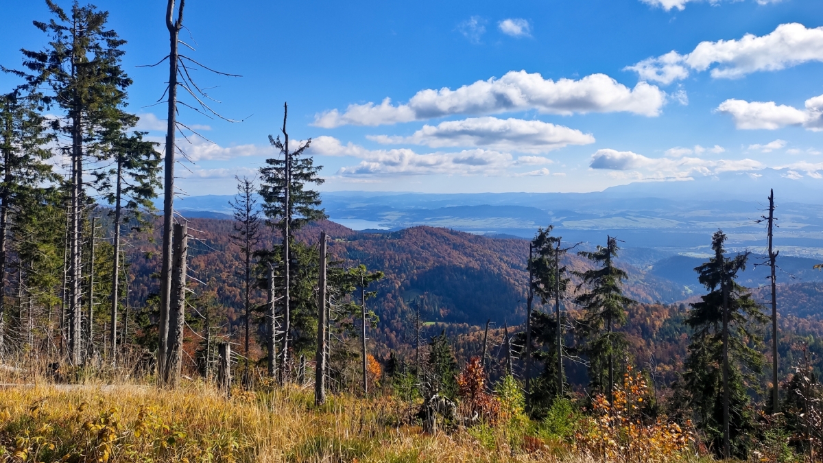 Gorce: od Maciejowej po Turbacz - places2visit.pl